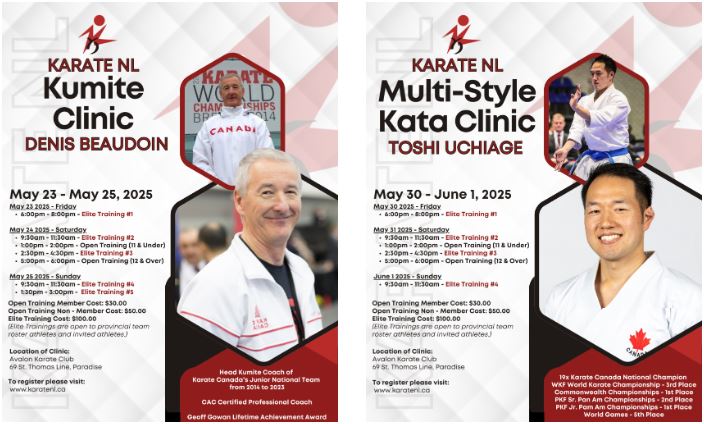 Kata/Kumite Clinics